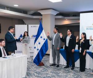 Un grupo de especialistas de distintas instituciones fue integrado por la ARSA para reforzar la capacidad regulatoria del país .