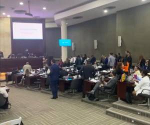 Los parlamentarios abandonaron sus curules en señal de protesta.