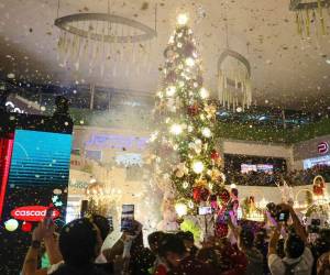 El espíritu navideño se enciende para todas las familias en Cascadas Mall. El encendido del árbol navideño inauguró la temporada más mágica en el centro comercial.