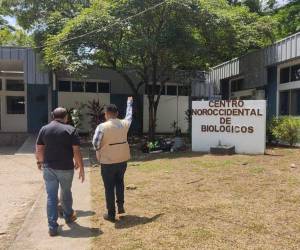 El Ministerio Público (MP) intervino la semana pasada el Almacén de Biológicos de Cortés.