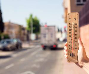 Imagen de referencia.