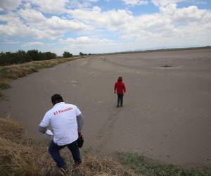 Al menos 250 fincas de camarón en el sur de Honduras han dejado de producir en los últimos años debido a que ya no pueden exportar a sus principales mercados: Taiwán y México.