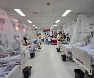 Los casos de dengue este año se redujeron considerablemente, en 2024 se contabilizaron más de 170,000 enfermos, en su mayoría menores de edad.