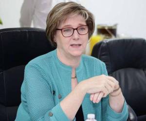 La embajadora Dogu recordó que Estados Unidos sigue y seguirá siendo un país aliado en Honduras sin importar los gobiernos.