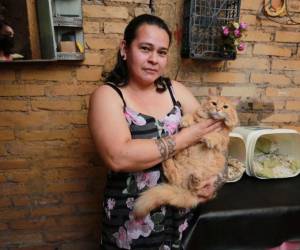 Pelusa es una inquilina de la guardería gatuna. Lleva cuatro años al cuidado de Kenia y la conexión entre cuidadora y felino es evidente.
