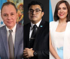 70 mil lempiras netos devengan por concepto de salario cada mes los vicecancilleres de la nación, según la información del Portal de Transparencia de la Cancillería.