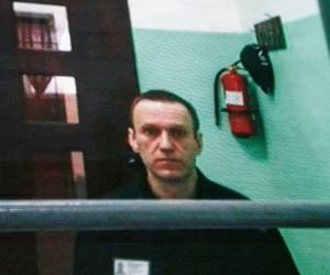 El líder opositor ruso Alexei Navalni murió envenenado con una toxina letal, presente en ranas venenosas dardas de América del Sur, informaron en un comunicado conjunto el Reino Unido, Suecia, Francia, Alemania y Países Bajos. Eso dicen los resultados: