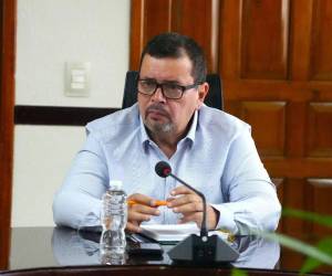 Moisés Molina, secretario de Agricultura y Ganadería (SAG).