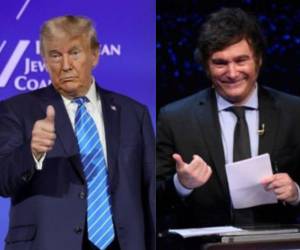 El expresidente Donald Trump habló con Javier Milei tras su victoria en las elecciones de Argentina.