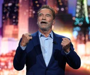 Las autoridades alemanas incoaron en su contra una acción penal, dado que Schwarzenegger tendría que haber declarado el ingreso del reloj.
