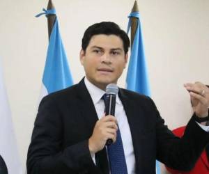 Marlon Ochoa, consejera del Consejo Nacional Electoral (CNE).