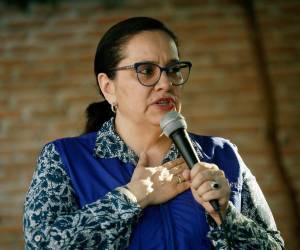 A sus 54 años de edad, la ex primera dama, Ana García de Hernández, ha tenido una nutrida formación académica y profesional dentro y fuera de Honduras. A continuación le contamos un poco más sobre la vida de la nueva precandidata presidencial del Partido Nacional.
