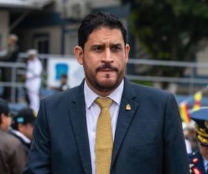 El ministro de Defensa, José Manuel Zelaya Rosales.