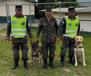 Mago y Togo, binomios caninos de la unidad K-9. Los equipos especializados desempeñan un rol fundamental en las operaciones de seguridad nacional