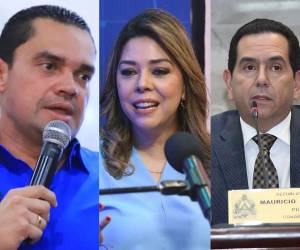 La diputada Gladis López se encontraba brindando declaraciones a la prensa y a punto de ingresar al hemiciclo cuando un artefacto explosivo cayó en su espalda