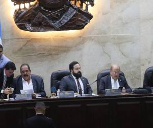 Luis Redondo informó que el análisis jurídico será sometido a discusión por el pleno una vez esté listo.