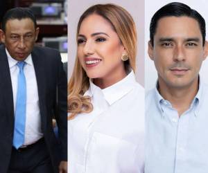 El Partido Nacional, institución política en el poder, ya dio a conocer quiénes son los congresistas que integrarán la jefatura de la bancada para el período 2026-2030.