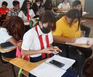 Los estudiantes obtendrán habilidades enfocadas al trabajo.