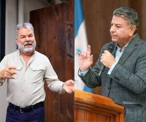 El edil sampedrano Roberto Contreras insultó al ministro de Gobernación y Justicia Tomás Vaquero.