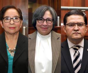 Sonia Marlina Dubón Villeda, Tirza del Carmen Flores Lanza y Daniel Arturo Sibrián Bueso son parte de los señalados por el CNA.