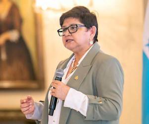 Una lluvia de cuestionamientos cayó sobre la exministra de Salud, Carla Paredes, quien, antes de renunciar a su cargo, había asegurado una plaza ganando hasta tres veces más de lo que percibe normalmente alguien en ese puesto.