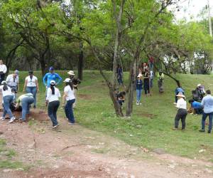 Con el plan de reforestación, la AMDC busca heredar un entorno ordenado con espacios sanos para la convivencia ciudadana.