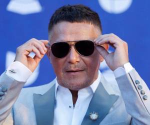 El cantante español Alejandro Sanz se alzó con el Latin Grammy a grabación del año por Palmeras en el jardín.