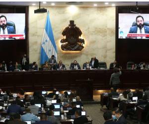 En la agenda legislativa distribuida por el presidente del Congreso Nacional, Luis Redondo, no se incluye la ratificación del acta de adhesión de Honduras a la Corporación Andina de Fomento (CAF).