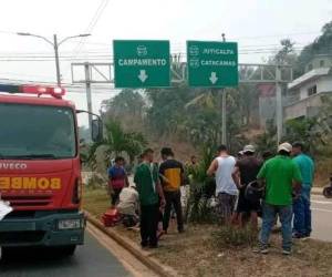 Los jóvenes estrellaron su motocicleta contra una palmera.