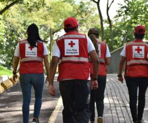 Los voluntarios pueden desarrollarse en diferentes áreas dentro de la Cruz Roja.