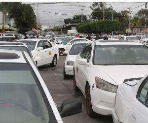 Los trabajadores del transporte denuncia que ellos deben pagar impuestos a la Alcaldía, IHTT y al Instituto de la Propiedad (IP).