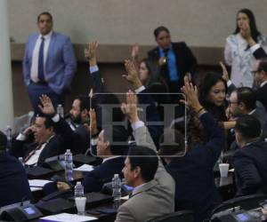 Preliminarmente, se maneja que el Poder Judicial podría disponer de un periodo de dos semanas para entregar sus valoraciones legales.