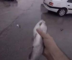 Un hombre corre a tomar en su mano a un pez que cayó desde el cielo.