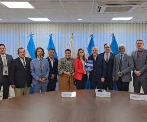 El pleno de consejeros del Consejo Nacional Electoral (CNE) conoció la propuesta de reforma a la Ley Electoral presentada por una comitiva de exautoridades del antiguo TNE, TSE y CNE el 23 de julio de 2026.