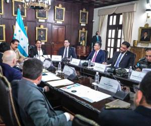 El 1 de septiembre de 2022 se desarrolló la reunión del CNDS bajo la actual normativa en Casa de Gobierno y dirigida por la presidenta.