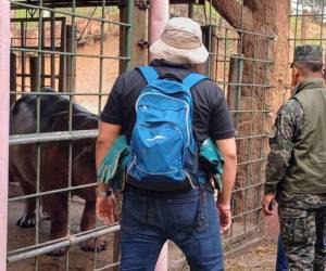 La audiencia se da en medio de acusaciones de presunta desviación de fondos y polémica sobre el suministro de alimentos para los animales del recinto.