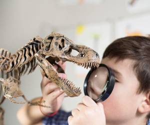 La devoción que muchos niños sienten por los dinosaurios es algo más que un simple pasatiempo.