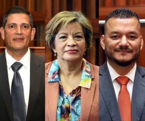Tres magistrados fueron designados para integrar la Corte de Apelaciones que deberá resolver si la presidenta de la Corte Suprema de Justicia puede continuar conociendo el caso contra dos magistrados del Tribunal de Justicia Electoral.