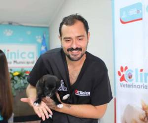 Se recomienda llevar a sus mascotas con correa y jaula.