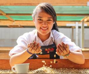 El barismo femenino gana espacio en Honduras como una oportunidad de formación, empleo y transformación social, conectando el origen del café con la taza y visibilizando el aporte de mujeres que fortalecen la cadena de valor del café hondureño.