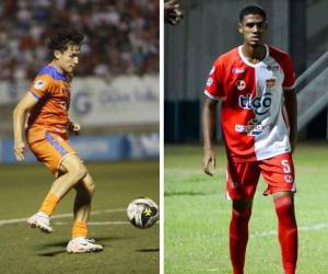 Lobos UPN y Vida se juegan todo en la última jornada de la Liga Nacional para definir el descendido. En caso de empate tendrán un duelo directo.