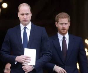 William y Harry, hijos de la fallecida princesa Diana y del actual rey de Inglaterra.