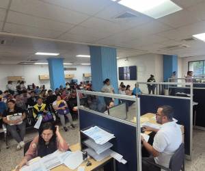 La AMDC promueve procesos de formalización que fortalecen el desarrollo de pequeños negocios en la capital.