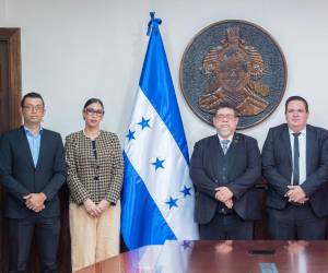 La Comisión Técnica Liquidadora es la encargada de ejecutar el proceso de liquidación del personal de las instituciones suprimidas.