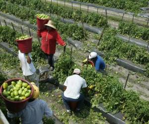 Trabajos en industria manufacturera, la agricultura o los servicios son parte de las oferta en el estado de Nebraska.