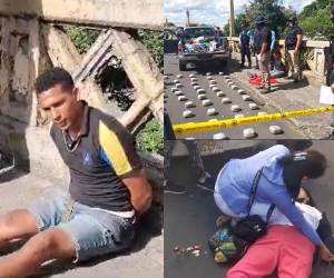 Una mujer perdió la vida de forma trágica la mañana de este martes, cuando un conductor la arrolló a inmediaciones de su lugar de trabajo, al inicio parecía tratarse únicamente de un fatal accidente, pero después se reveló que detrás se escondía otro hecho delictivo. A continuación los detalles.