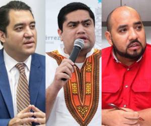 La discusión fue emprendida Héctor Zelaya, José Carlos Cardona y Daniel Sponda.