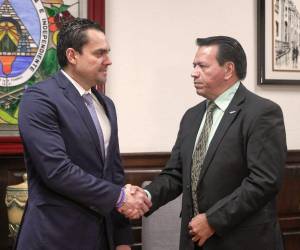 La iniciativa permite a la comunidad internacional, organismos e inversionistas consultar el marco legal del país desde cualquier parte del globo.