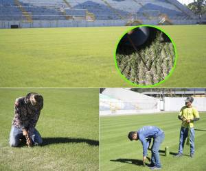 La grama del estadio Morazán se ha cocido en su totalidad, faltan los últimos detalles de la siembra de la semilla para que todo este listo el próximo mes