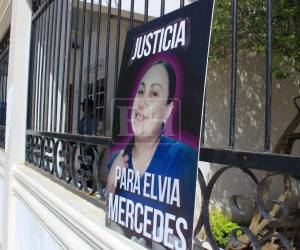 Le negaron un sobreseimiento: Prisión preventiva para Daniel Meraz, acusado de matar a Elvia